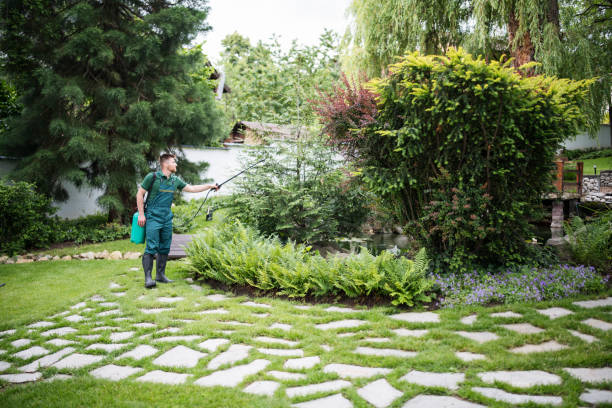 Best Emergency Pest Control  in Appleton, WI